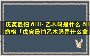 戊寅最怕 🌷 乙木吗是什么 🐎 命格「戊寅最怕乙木吗是什么命格呢」